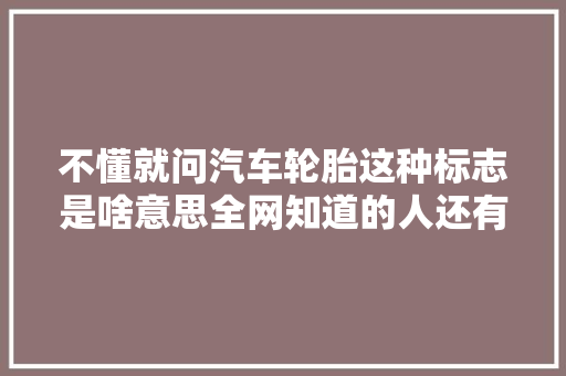 不懂就问汽车轮胎这种标志是啥意思全网知道的人还有吗