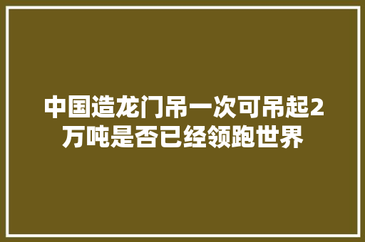 中国造龙门吊一次可吊起2万吨是否已经领跑世界