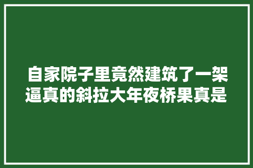 自家院子里竟然建筑了一架逼真的斜拉大年夜桥果真是高手啊