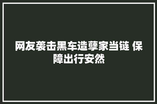 网友袭击黑车造孽家当链 保障出行安然 汽车知识