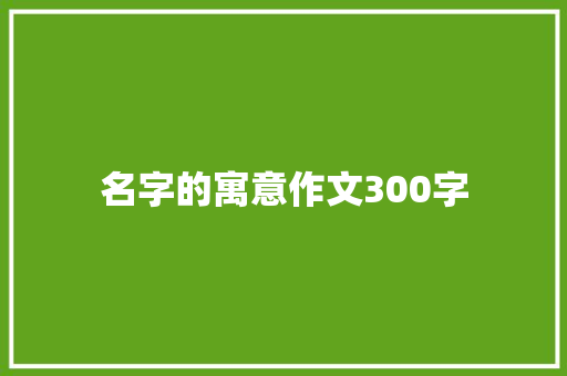名字的寓意作文300字
