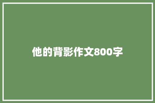 他的背影作文800字