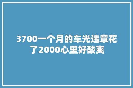 3700一个月的车光违章花了2000心里好酸爽