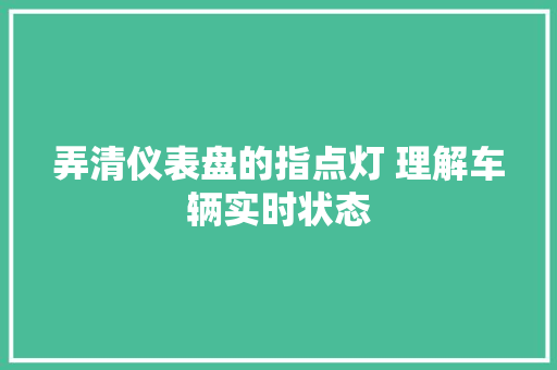 弄清仪表盘的指点灯 理解车辆实时状态