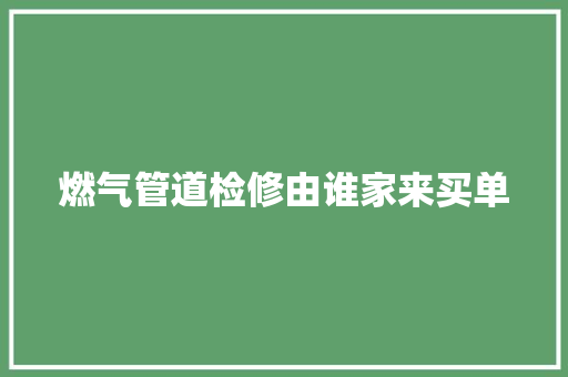 燃气管道检修由谁家来买单