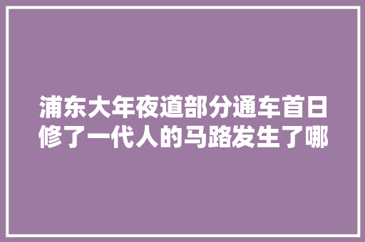 浦东大年夜道部分通车首日修了一代人的马路发生了哪些变革