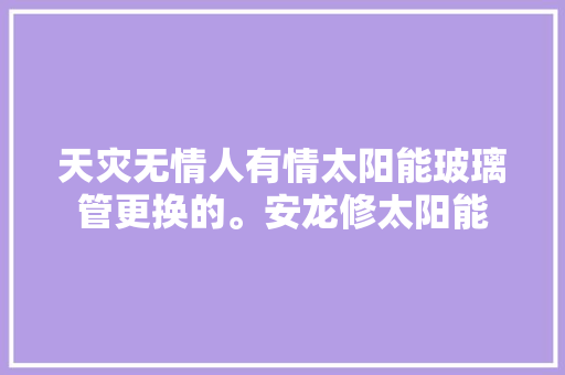 天灾无情人有情太阳能玻璃管更换的。安龙修太阳能
