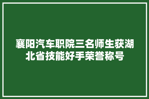 襄阳汽车职院三名师生获湖北省技能好手荣誉称号