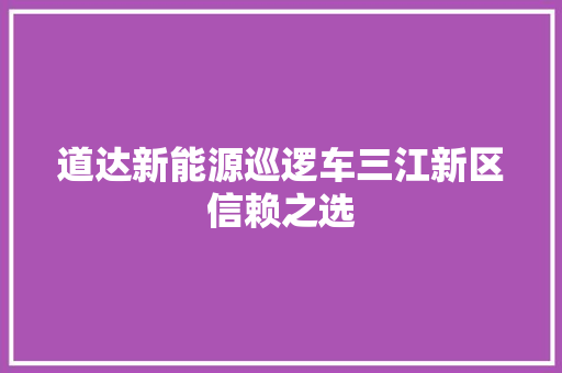道达新能源巡逻车三江新区信赖之选