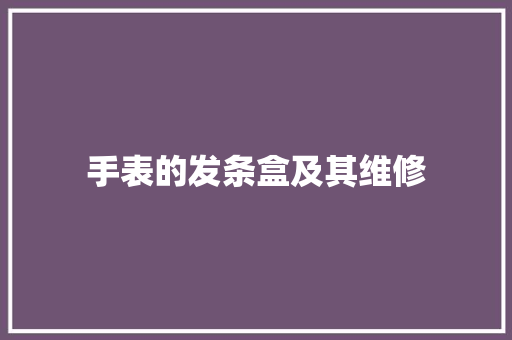 手表的发条盒及其维修