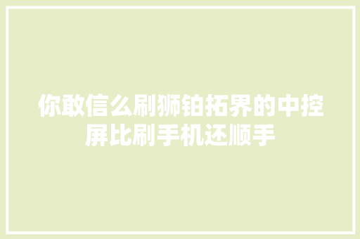 你敢信么刷狮铂拓界的中控屏比刷手机还顺手