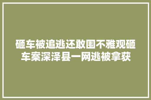 砸车被追逃还敢围不雅观砸车案深泽县一网逃被拿获