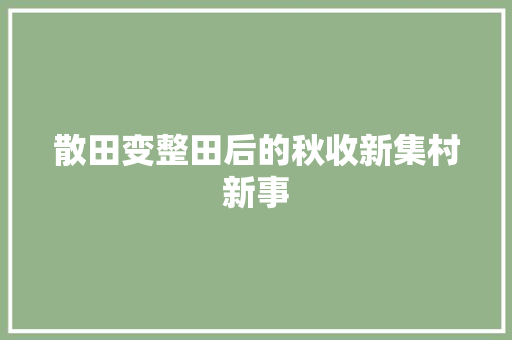 散田变整田后的秋收新集村新事