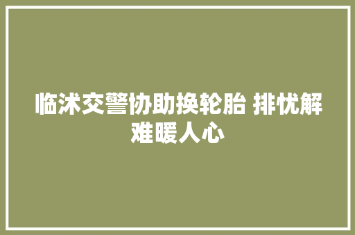 临沭交警协助换轮胎 排忧解难暖人心