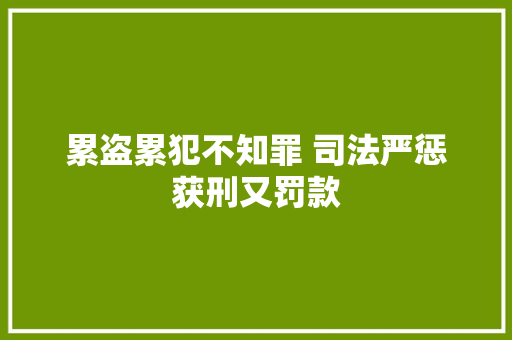 累盗累犯不知罪 司法严惩获刑又罚款