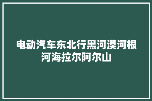 电动汽车东北行黑河漠河根河海拉尔阿尔山