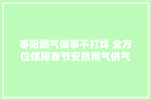 枣阳燃气做事不打烊 全方位保障春节安然用气供气