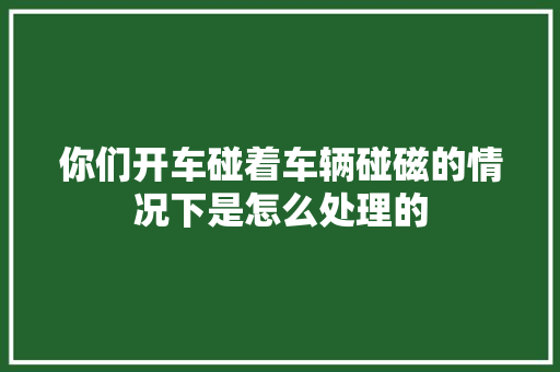 你们开车碰着车辆碰磁的情况下是怎么处理的