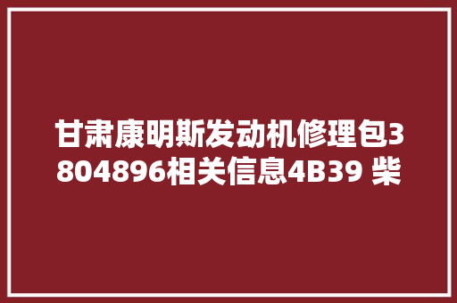 甘肃康明斯发动机修理包3804896相关信息4B39 柴油机