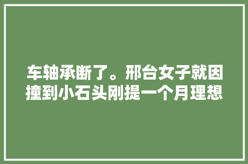 车轴承断了。邢台女子就因撞到小石头刚提一个月理想汽车新车