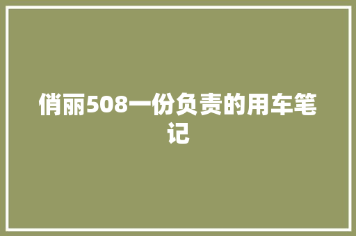 俏丽508一份负责的用车笔记
