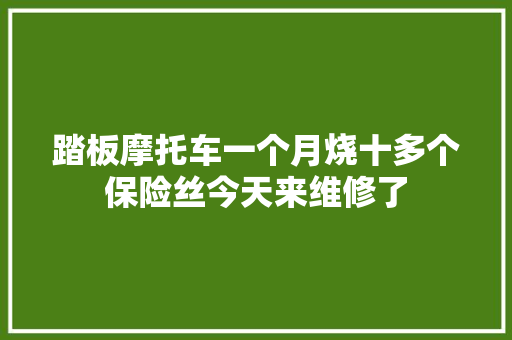踏板摩托车一个月烧十多个保险丝今天来维修了