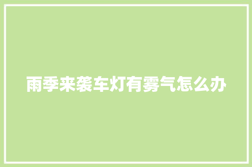 雨季来袭车灯有雾气怎么办