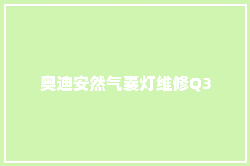 奥迪安然气囊灯维修Q3