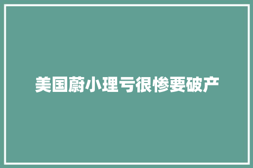 美国蔚小理亏很惨要破产