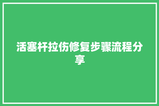活塞杆拉伤修复步骤流程分享