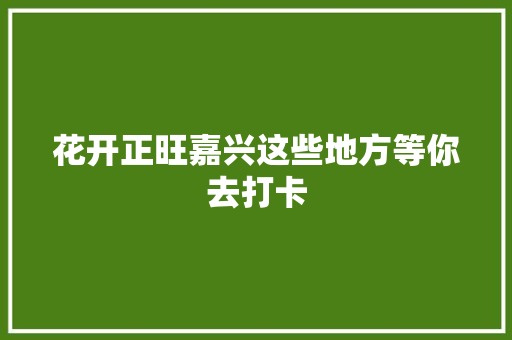 花开正旺嘉兴这些地方等你去打卡