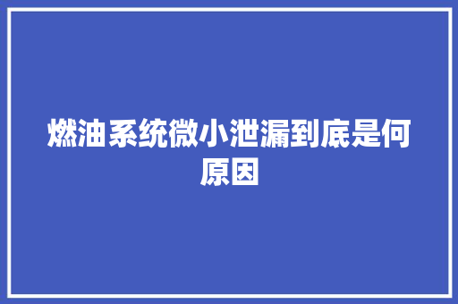 燃油系统微小泄漏到底是何原因
