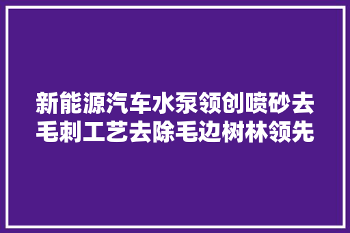 新能源汽车水泵领创喷砂去毛刺工艺去除毛边树林领先