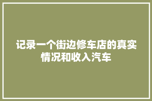 记录一个街边修车店的真实情况和收入汽车