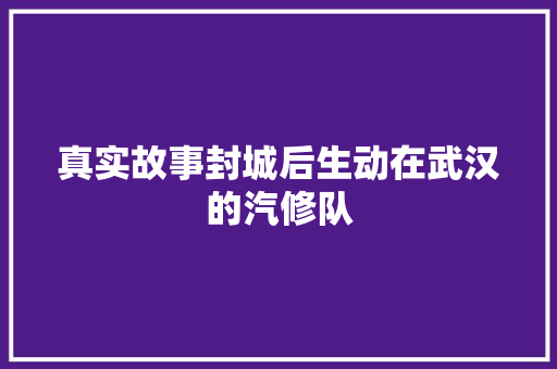 真实故事封城后生动在武汉的汽修队