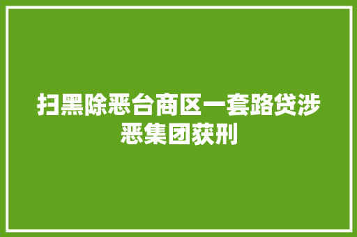 扫黑除恶台商区一套路贷涉恶集团获刑