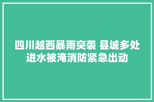 四川越西暴雨突袭 县城多处进水被淹消防紧急出动
