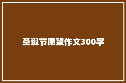圣诞节愿望作文300字