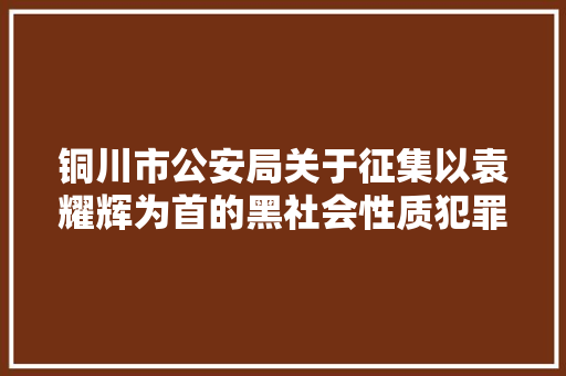 铜川市公安局关于征集以袁耀辉为首的黑社会性质犯罪违法犯罪线索的通知书记
