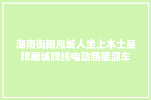 湖南衡阳雁城人坐上本土品牌雁城牌纯电动新能源车