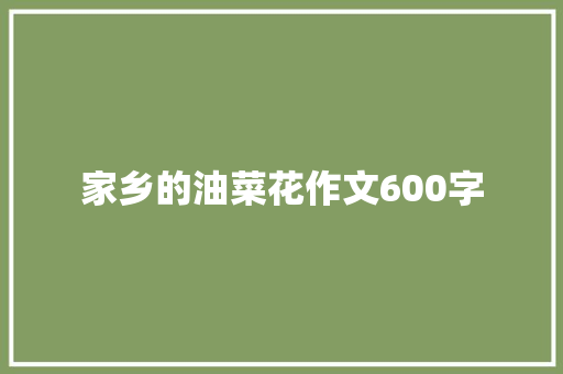 家乡的油菜花作文600字