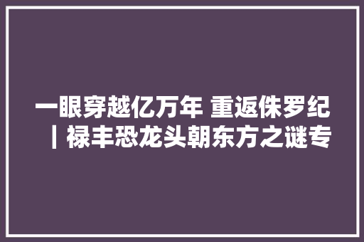 一眼穿越亿万年 重返侏罗纪｜禄丰恐龙头朝东方之谜专家这样分析