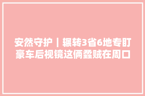 安然守护｜辗转3省6地专盯豪车后视镜这俩蟊贼在周口栽了