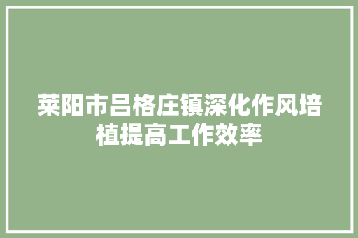 莱阳市吕格庄镇深化作风培植提高工作效率