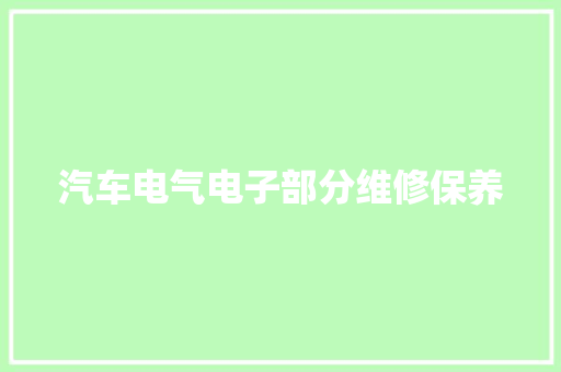 汽车电气电子部分维修保养