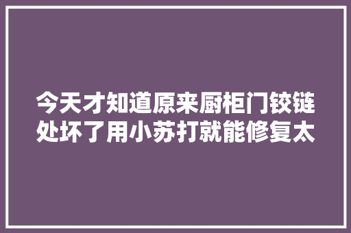 今天才知道原来厨柜门铰链处坏了用小苏打就能修复太实用了