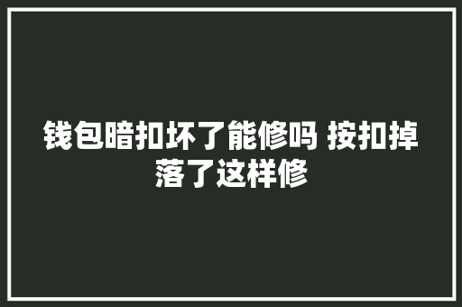 钱包暗扣坏了能修吗 按扣掉落了这样修