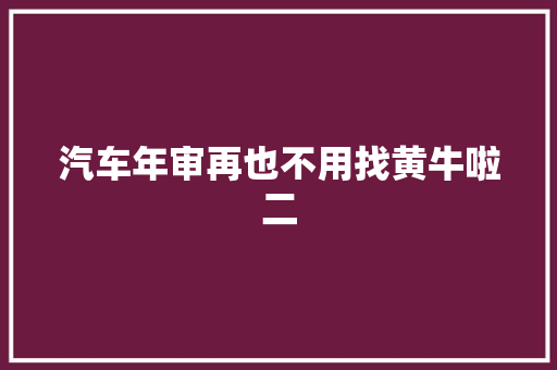 汽车年审再也不用找黄牛啦二