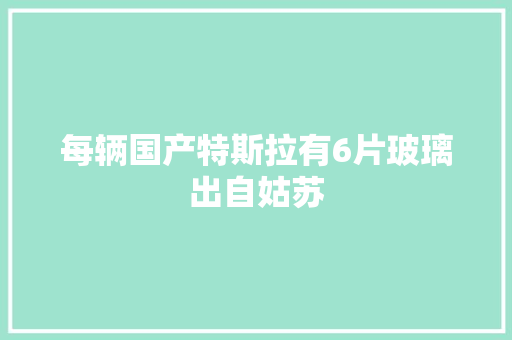 每辆国产特斯拉有6片玻璃出自姑苏