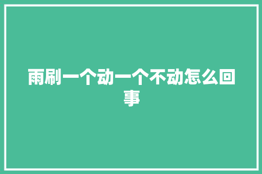雨刷一个动一个不动怎么回事